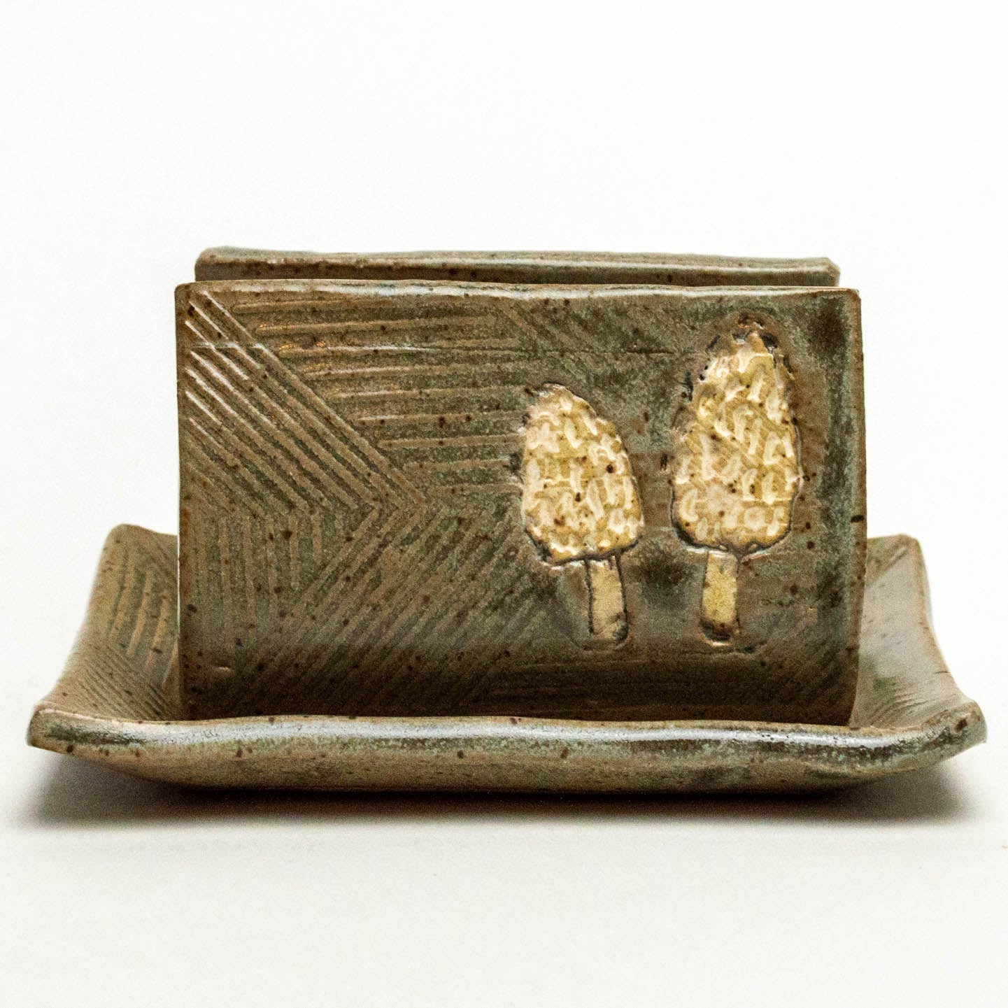 Morel Mushroom Gray Sponge Holder