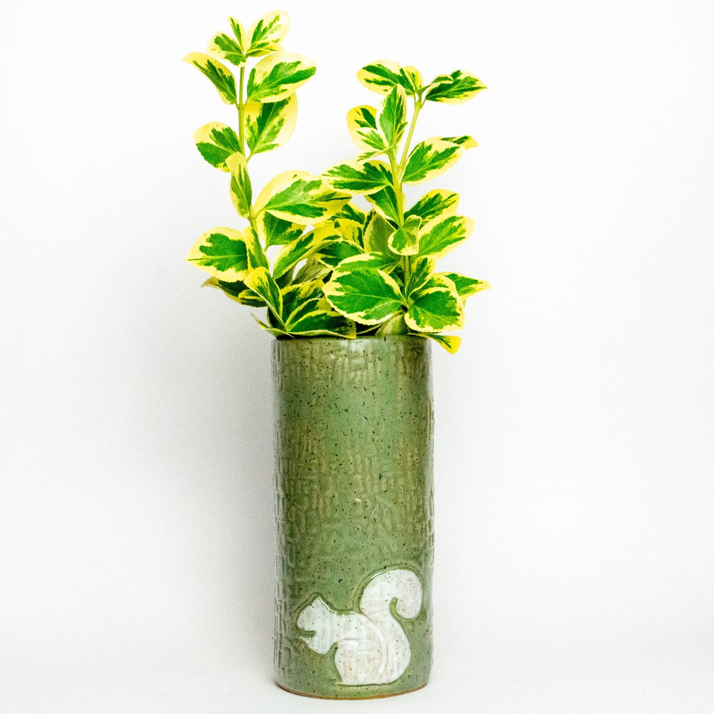 White Squirrel Green Vase