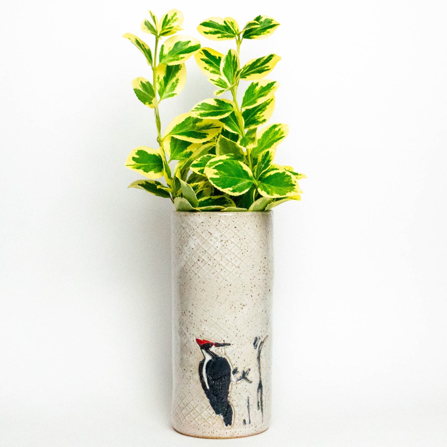 Pileated Woodpecker White Vase