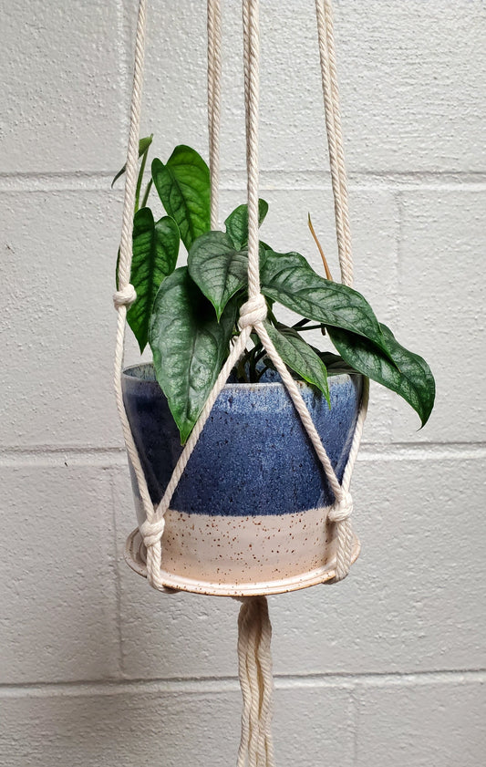Blue & White 4" Hanging Hand Thrown Planter w/ Macrame Hanger