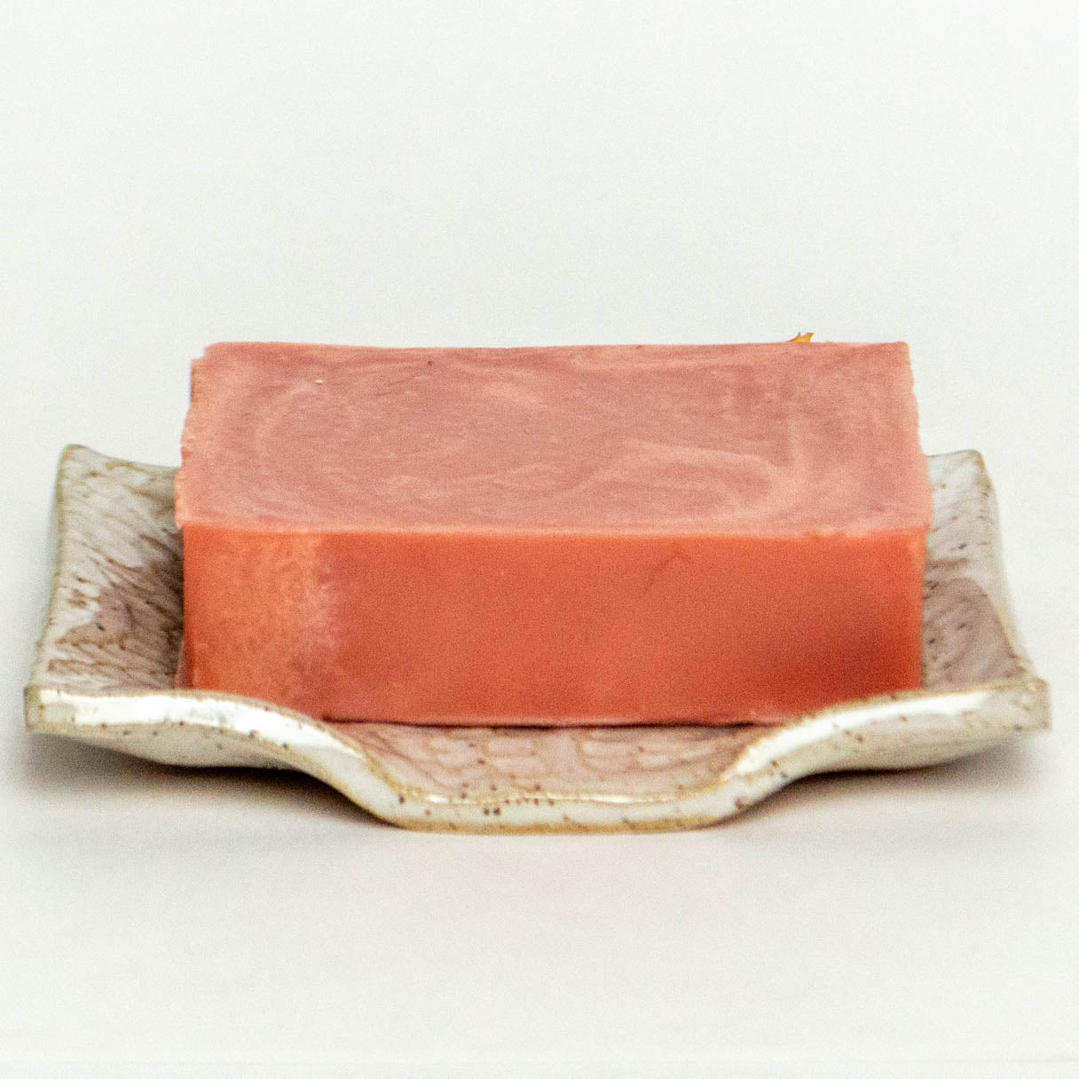 Slider Turtle White Stoneware Soap Dish